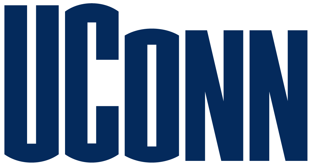 UConn Huskies 1996-2012 Wordmark Logo diy fabric transfer
